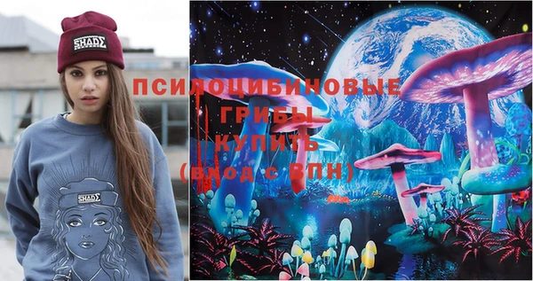 стаф Пролетарск