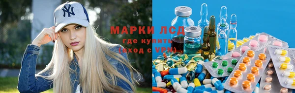 шишки Нефтекумск