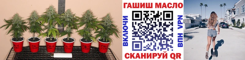 купить наркотики цена  Тырныауз  Дистиллят ТГК концентрат 
