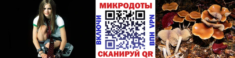 Псилоцибиновые грибы ЛСД blacksprut зеркало Тырныауз