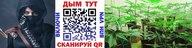 Марихуана SATIVA & INDICA  Тырныауз 